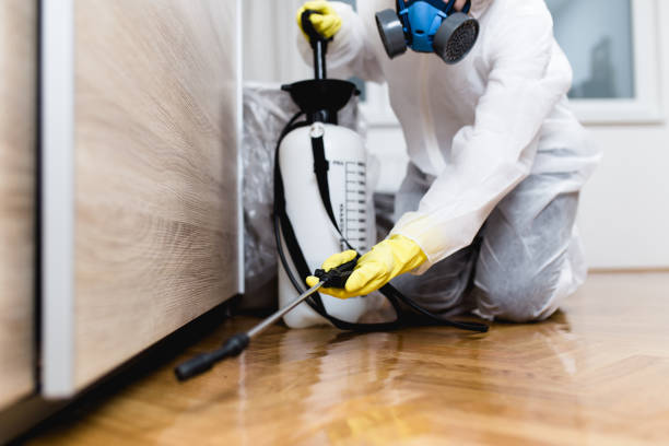 Best Cockroach Control Services  in Pacifi, CA