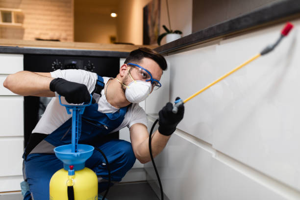 Best Local Pest Control Services  in Pacifi, CA