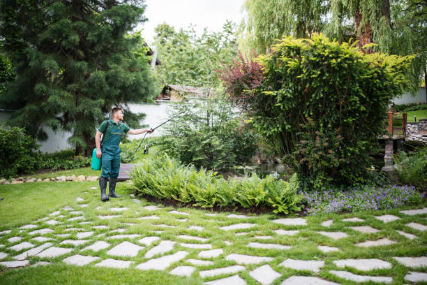 Best Exterminator Services  in Pacifi, CA