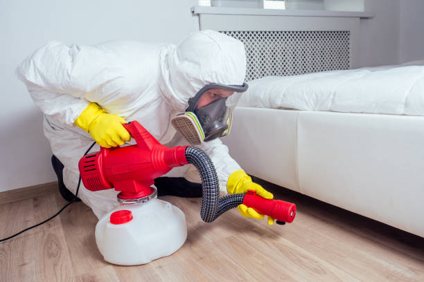 Best Mosquito Control Services  in Pacifi, CA