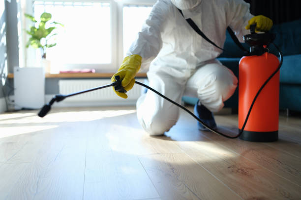 Pest Prevention Services in Pacifica, CA