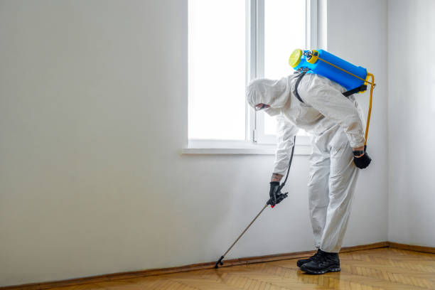 Best Pest Control Near Me  in Pacifi, CA