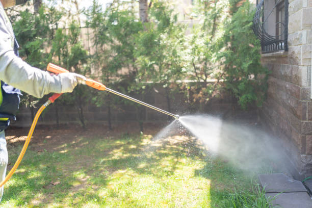 Best Bed Bug Extermination  in Pacifi, CA