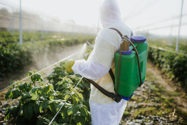 Best Pest Inspection Near Me  in Pacifi, CA